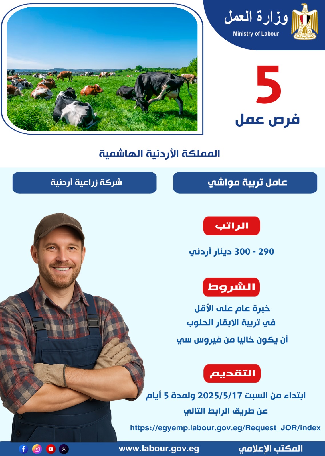 وزير القوى العامله 
